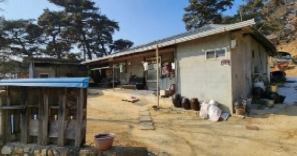 경상북도 안동시 풍산읍 매곡리 OOOOO 대지 경매 물건 이미지