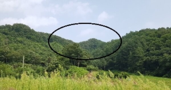 강원도 춘천시 남산면 광판리 OOOO 임야 경매 물건 이미지
