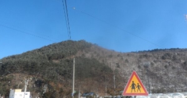 강원도 태백시 창죽동 OOO O OOO 임야 경매 물건 이미지