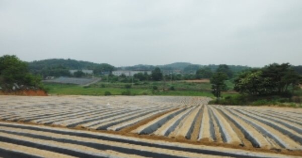 충청남도 당진시 신평면 초대리 OOOOOO O OOO 과수원 경매 물건 이미지