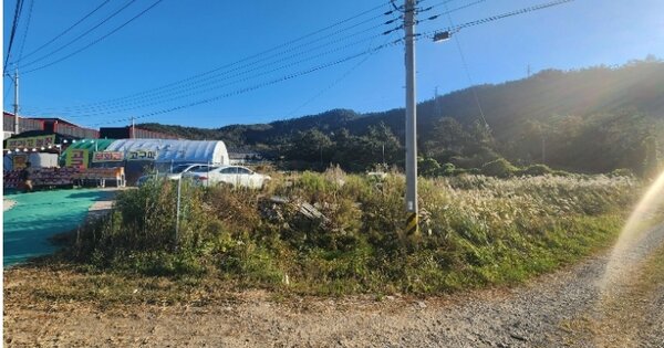 전라남도 해남군 산이면 금호리 OOOO 전 경매 물건 이미지
