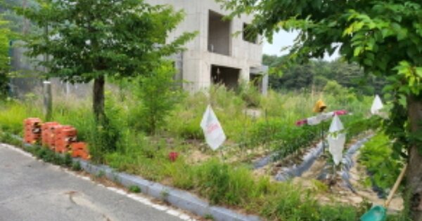 충청남도 천안시 동남구 병천면 가전리 OOOOOO 대지 경매 물건 이미지