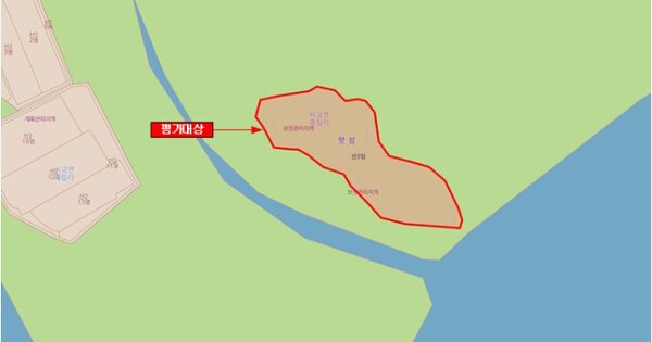 전라남도 신안군 비금면 죽림리 OO 임야 경매 물건 이미지
