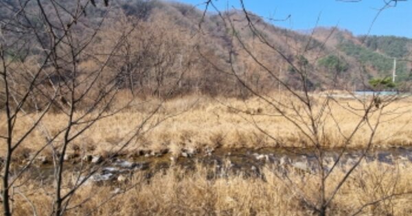 경기도 가평군 북면 소법리 OO O OOO 임야 경매 물건 이미지
