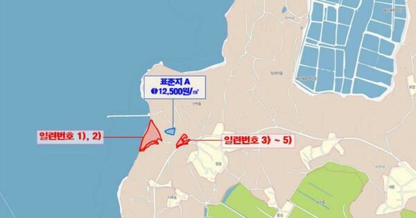 전라남도 무안군 운남면 내리 OOOOO O OOO 임야 경매 물건 이미지