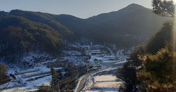 강원도 양구군 양구읍 동수리 OOOOO 임야 경매 물건 이미지