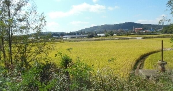 충청남도 서산시 운산면 용장리 OOOOO 전 경매 물건 이미지
