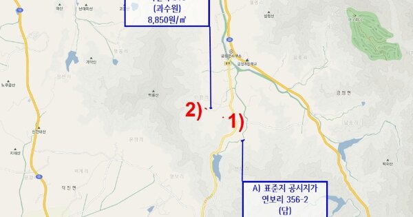 전라남도 영암군 금정면 아천리 OOO 전 경매 물건 이미지