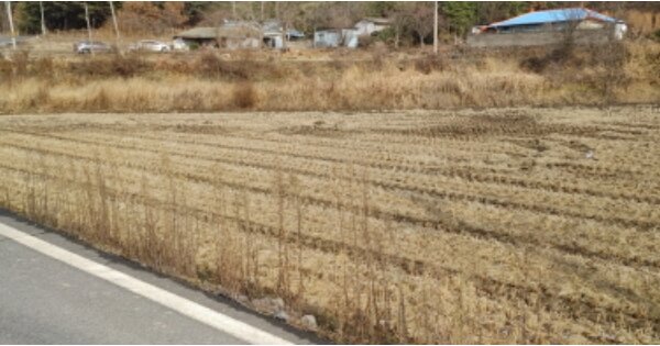 충청남도 보령시 웅천읍 대창리 OOO O OOO 답 경매 물건 이미지
