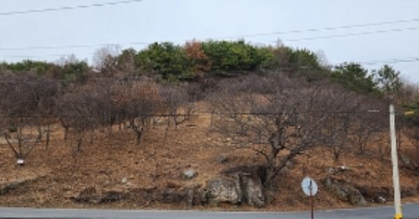 충청남도 보령시 미산면 은현리 OOO 임야 경매 물건 이미지
