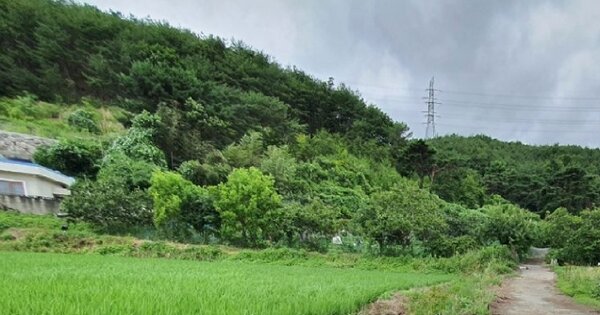 울산광역시 울주군 웅촌면 석천리 OOOOO 임야 경매 물건 이미지