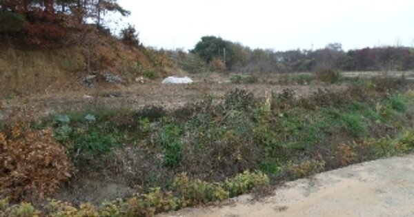 충청남도 당진시 송산면 유곡리 OOOOOO 임야 경매 물건 이미지