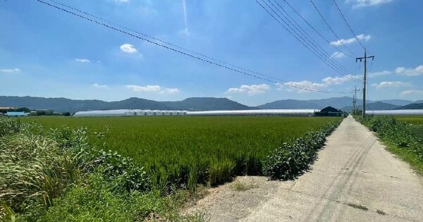 경상남도 김해시 화목동 OOOOOO 답 경매 물건 이미지