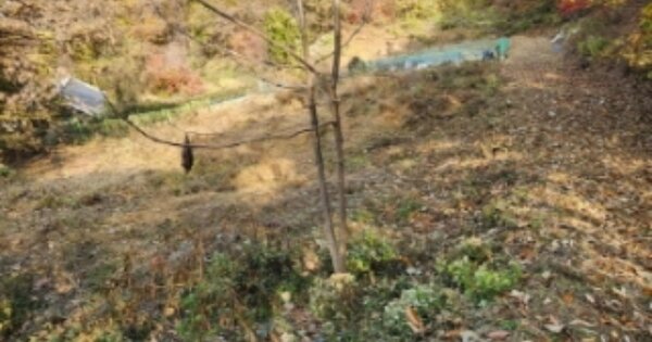 경기도 광주시 남종면 분원리 OOOOOO O OOO 대지 경매 물건 이미지