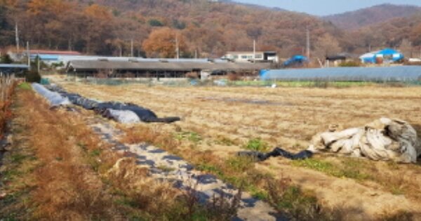 경기도 포천시 신북면 가채리 OOO 답 경매 물건 이미지