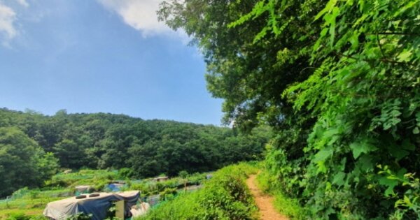 경기도 용인시 처인구 고림동 OOOOO 임야 경매 물건 이미지