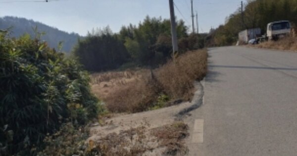 전라남도 순천시 별량면 쌍림리 OO O OOO 전 경매 물건 이미지