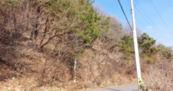경기도 파주시 법원읍 삼방리 OOOO 임야 경매 물건 이미지