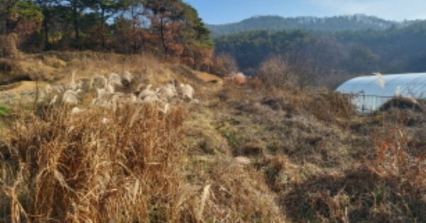 충청남도 천안시 동남구 수신면 발산리 OOOOO 전 경매 물건 이미지