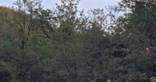 경상북도 칠곡군 가산면 학산리 OOO O OOO 전 경매 물건 이미지
