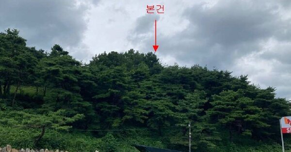 충청북도 제천시 수산면 내리 OOOOO O OOO 임야 경매 물건 이미지