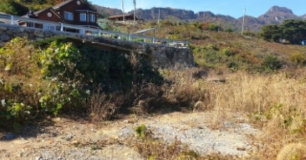 충청북도 단양군 적성면 상리 OOOOOO 임야 경매 물건 이미지