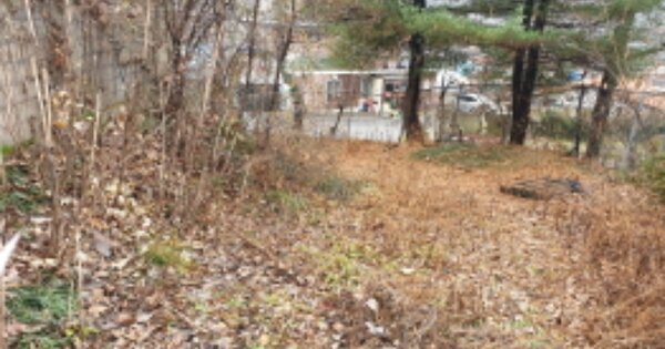 충청북도 단양군 단성면 상방리 OOOOO 대지 경매 물건 이미지