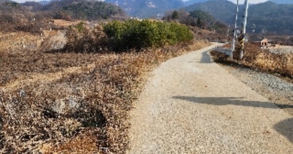충청북도 제천시 청풍면 도화리 OOOOO 전 경매 물건 이미지