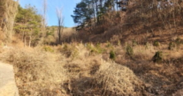 경상남도 양산시 평산동 OOOOOO 임야 경매 물건 이미지