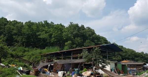 경상북도 의성군 사곡면 작승리 OOO 창고용지 경매 물건 이미지
