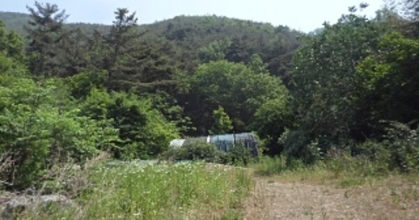경상남도 밀양시 청도면 인산리 OO O OOO 임야 경매 물건 이미지