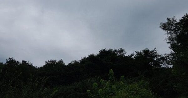 경상북도 의성군 봉양면 삼산리 OOO 전 경매 물건 이미지