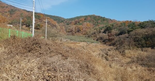 경상북도 의성군 춘산면 금천리 OOO O OOO 전 경매 물건 이미지