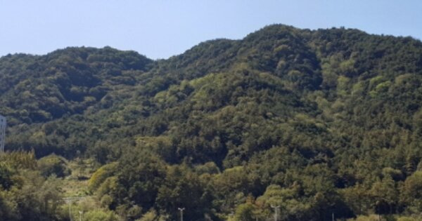 경상남도 거창군 거창읍 송정리 OOOOOO O OOO 임야 경매 물건 이미지