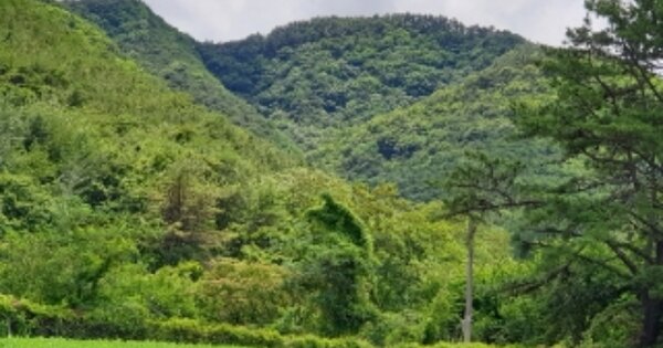 경상북도 경주시 현곡면 라원리 OOOO 답 경매 물건 이미지