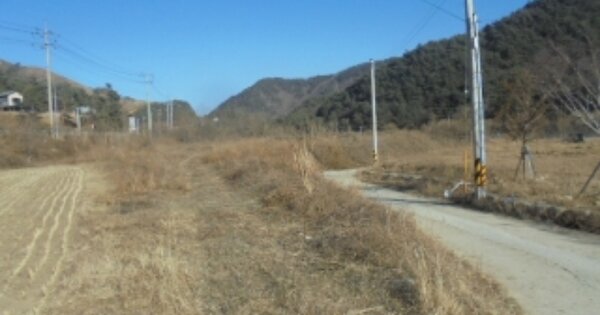 강원도 양양군 서면 공수전리 OO O OOO 답 경매 물건 이미지