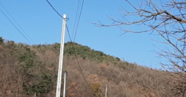 인천광역시 강화군 길상면 선두리 OOO 임야 경매 물건 이미지