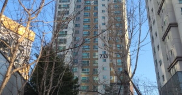 인천광역시 중구 중산동 1872-2 인천영종동보노빌리티아파트 733동 OOOOOO 아파트 경매 물건 이미지