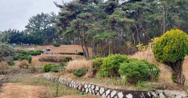 충청남도 서천군 마서면 신포리 OOOOO 임야 경매 물건 이미지