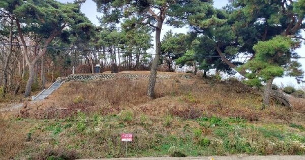 충청남도 서천군 마서면 신포리 OOOOO 임야 경매 물건 이미지