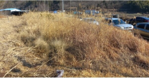 경상남도 거제시 연초면 덕치리 OOOOO 답 경매 물건 이미지