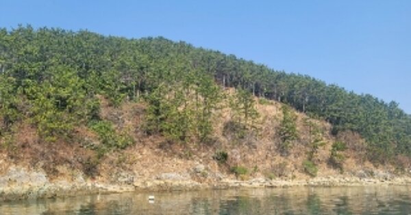 경상남도 통영시 한산면 창좌리 OOO 임야 경매 물건 이미지
