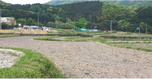 경상남도 거제시 삼거동 OOO 답 경매 물건 이미지