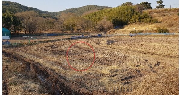 경상남도 진주시 대곡면 마진리 OOO 답 경매 물건 이미지
