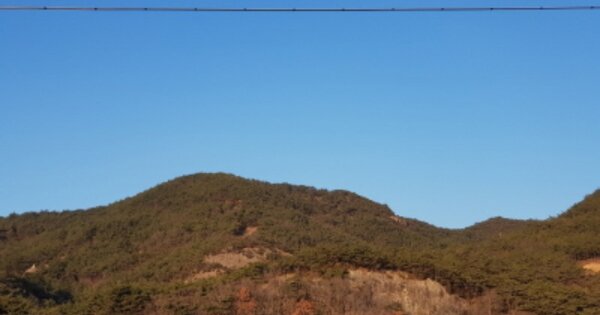 전라북도 고창군 아산면 반암리 OOOOOO 임야 경매 물건 이미지