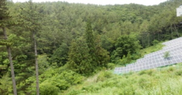 경상남도 남해군 창선면 부윤리 OOOOO O OOO 임야 경매 물건 이미지