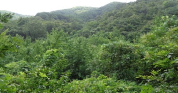 경상남도 진주시 미천면 상미리 O 답 경매 물건 이미지