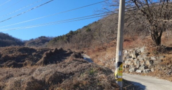 경상북도 성주군 벽진면 매수리 OOO 임야 경매 물건 이미지
