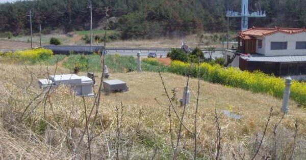 전라남도 해남군 산이면 금호리 OOOOO 전 경매 물건 이미지