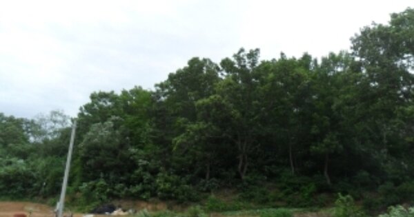 충청남도 서산시 부석면 마룡리 OOOOOO 임야 경매 물건 이미지